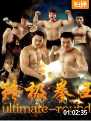 終極拳王(全集)