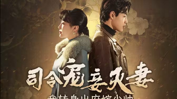 司令寵妾滅妻，我轉(zhuǎn)身出府嫁少帥(全集)