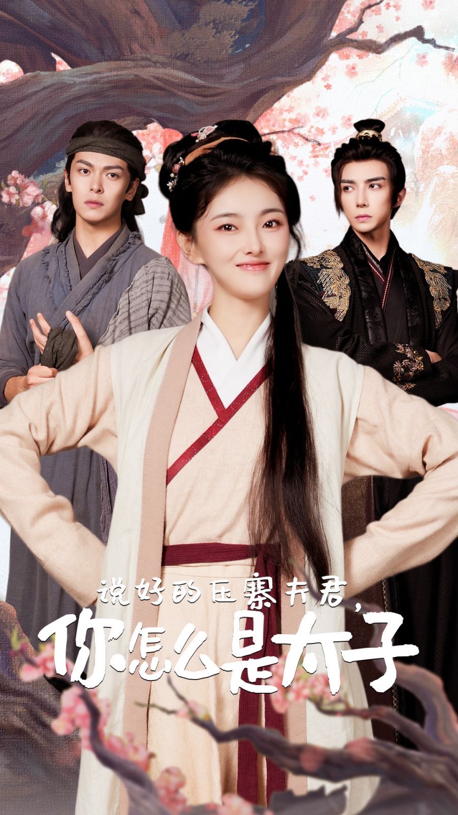 說好的壓寨夫君，你怎么是太子(全集)