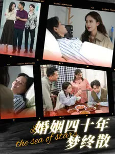 婚姻四十年夢(mèng)終散(全集)