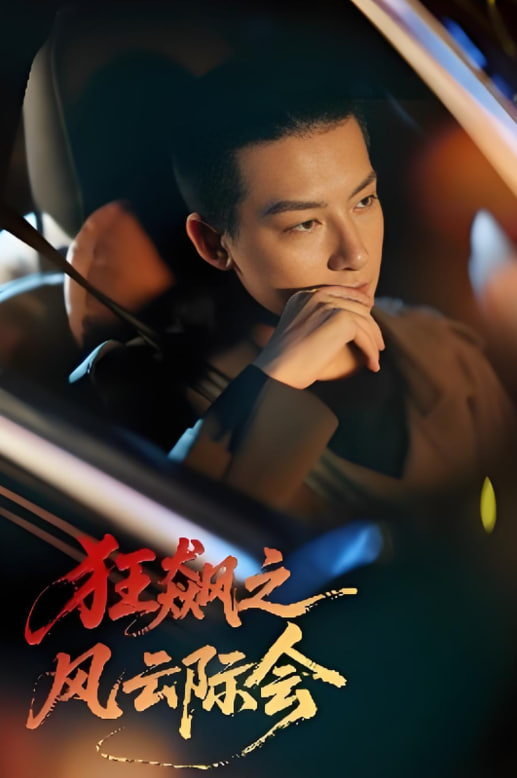 狂飆之風云際會(全集)