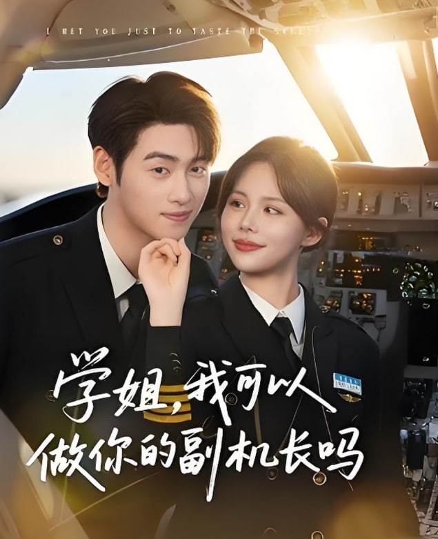 學姐我可以做你的副機長嗎(全集)