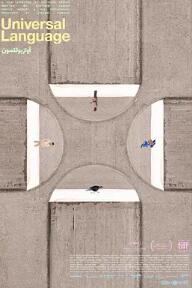 共同的語(yǔ)言