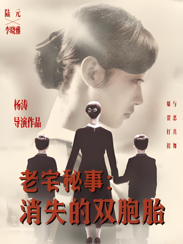 老宅秘事消失的雙胞胎（消失的孩子）(全集)
